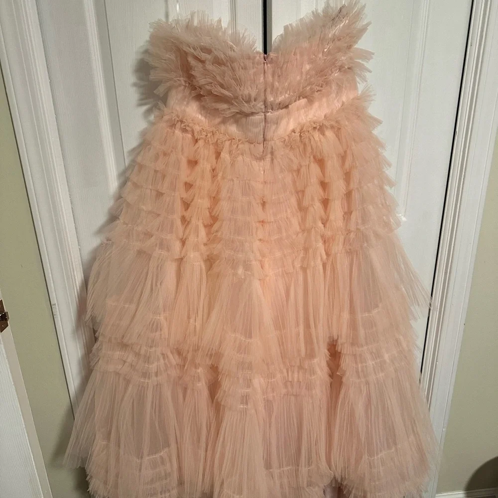 AKIRA Blush Tulle Women’s Dress - Picture 3 of 4